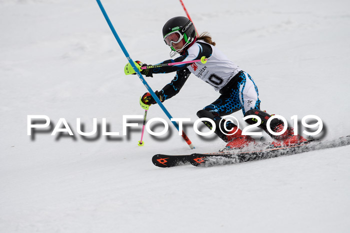 8. BZB CUP SL, 06.03.2019, Gudiberg