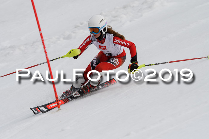 8. BZB CUP SL, 06.03.2019, Gudiberg
