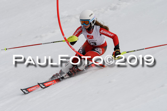 8. BZB CUP SL, 06.03.2019, Gudiberg