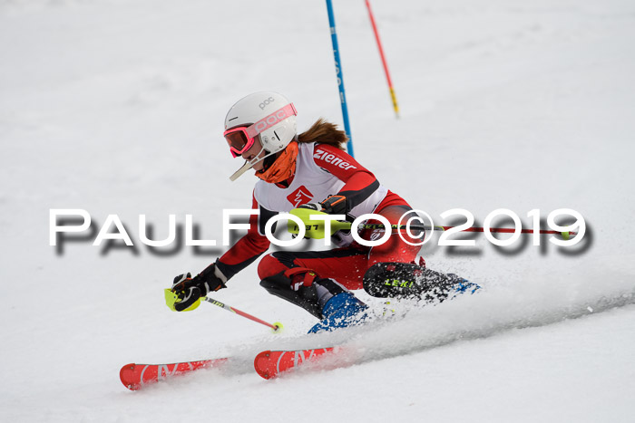 8. BZB CUP SL, 06.03.2019, Gudiberg