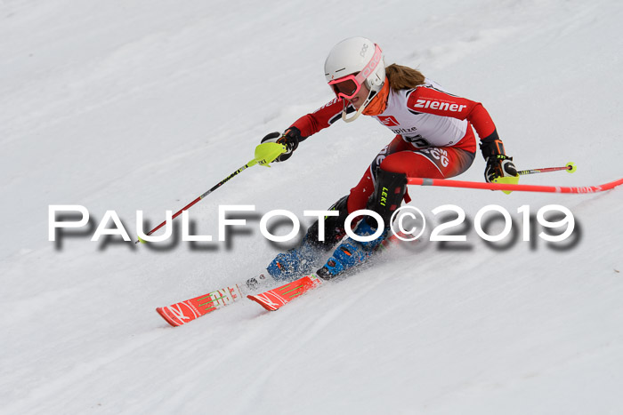8. BZB CUP SL, 06.03.2019, Gudiberg