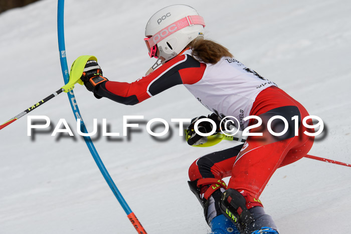 8. BZB CUP SL, 06.03.2019, Gudiberg