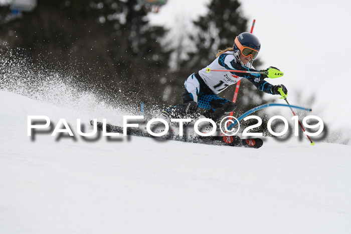 8. BZB CUP SL, 06.03.2019, Gudiberg