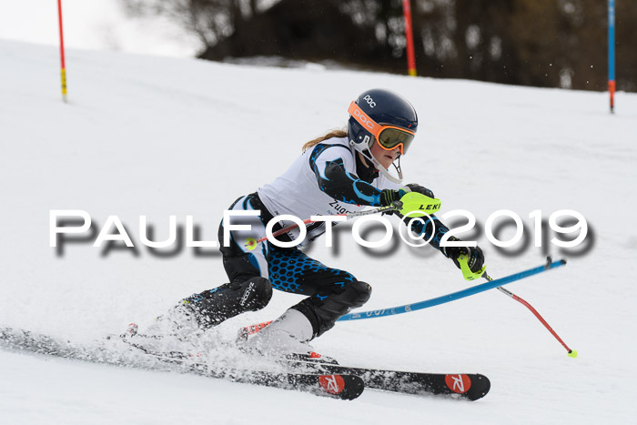 8. BZB CUP SL, 06.03.2019, Gudiberg