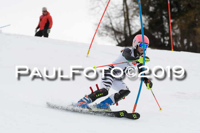 8. BZB CUP SL, 06.03.2019, Gudiberg