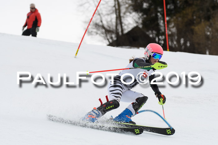 8. BZB CUP SL, 06.03.2019, Gudiberg