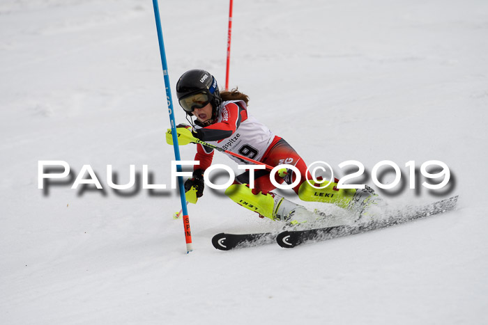 8. BZB CUP SL, 06.03.2019, Gudiberg