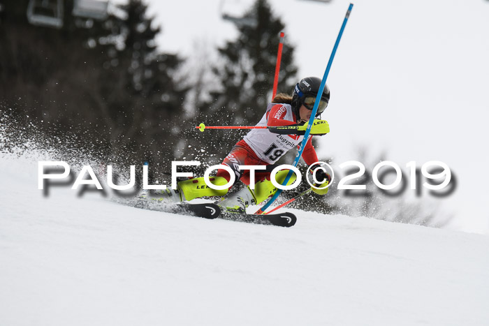 8. BZB CUP SL, 06.03.2019, Gudiberg