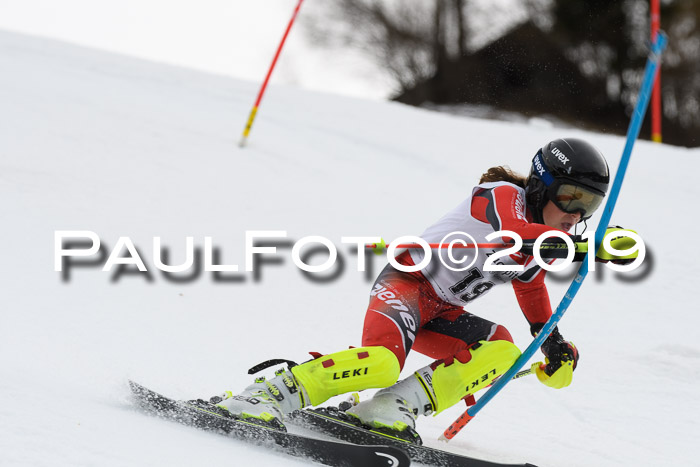 8. BZB CUP SL, 06.03.2019, Gudiberg