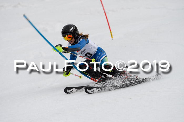 8. BZB CUP SL, 06.03.2019, Gudiberg