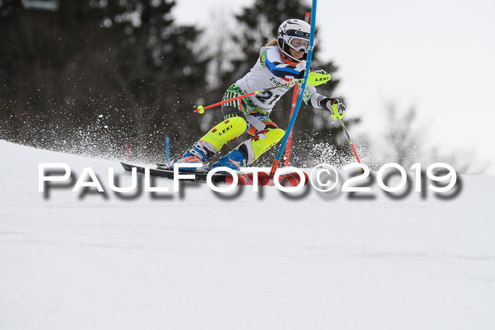 8. BZB CUP SL, 06.03.2019, Gudiberg