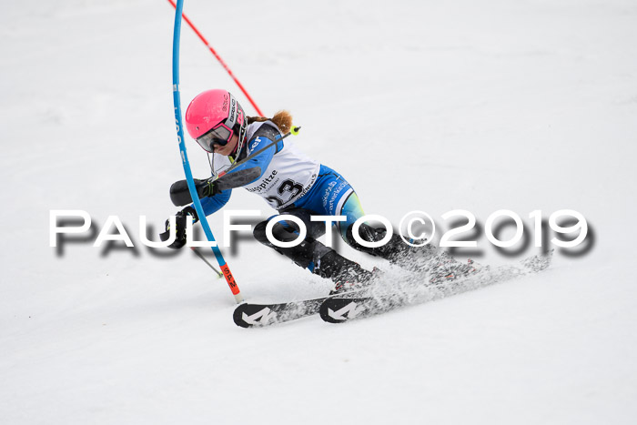 8. BZB CUP SL, 06.03.2019, Gudiberg