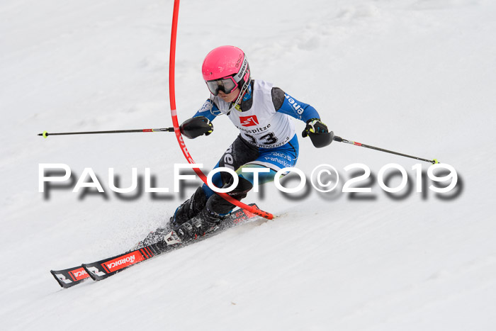 8. BZB CUP SL, 06.03.2019, Gudiberg