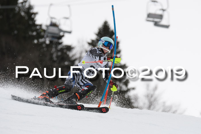 8. BZB CUP SL, 06.03.2019, Gudiberg