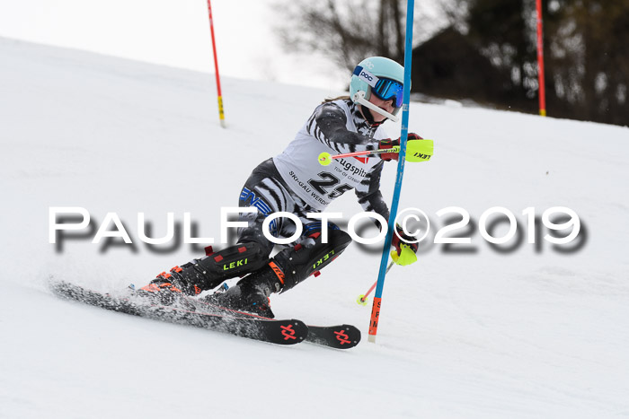 8. BZB CUP SL, 06.03.2019, Gudiberg