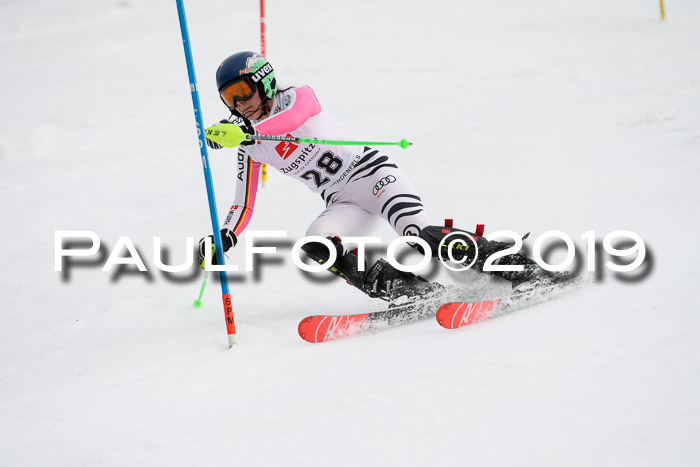 8. BZB CUP SL, 06.03.2019, Gudiberg