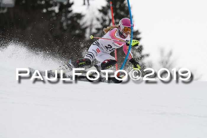 8. BZB CUP SL, 06.03.2019, Gudiberg
