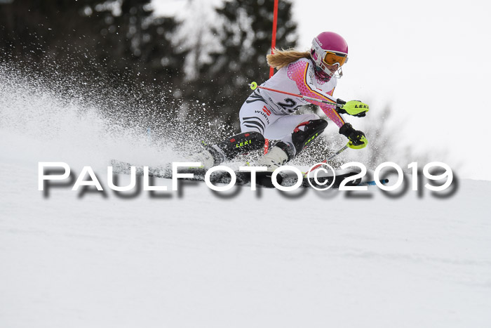 8. BZB CUP SL, 06.03.2019, Gudiberg