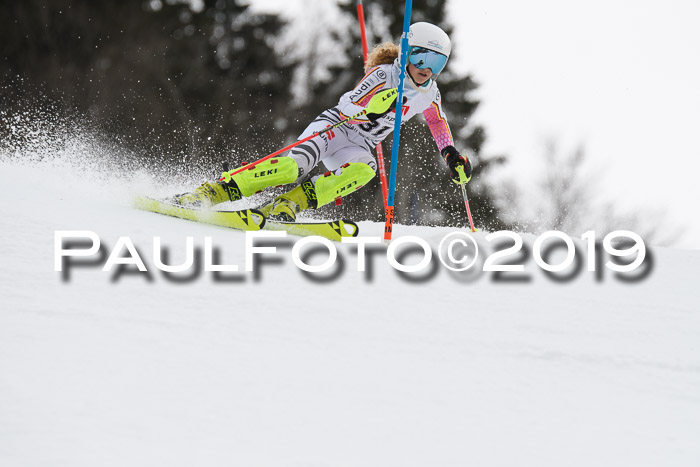 8. BZB CUP SL, 06.03.2019, Gudiberg
