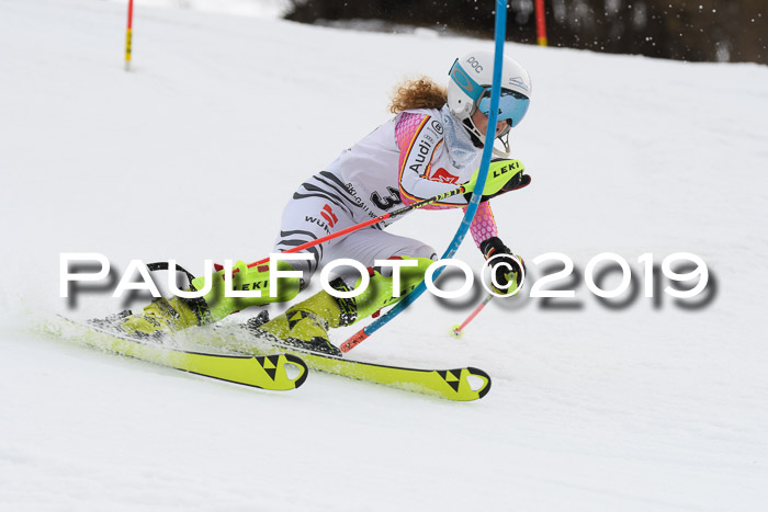 8. BZB CUP SL, 06.03.2019, Gudiberg