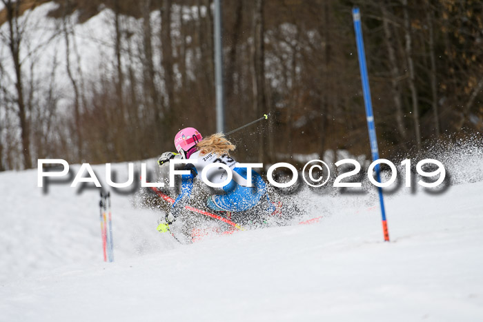 8. BZB CUP SL, 06.03.2019, Gudiberg
