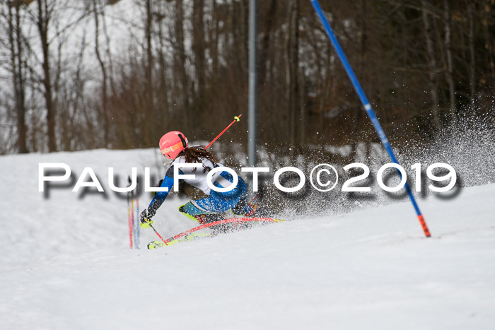 8. BZB CUP SL, 06.03.2019, Gudiberg