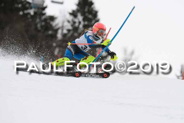 8. BZB CUP SL, 06.03.2019, Gudiberg