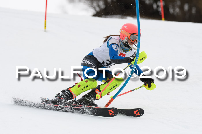8. BZB CUP SL, 06.03.2019, Gudiberg