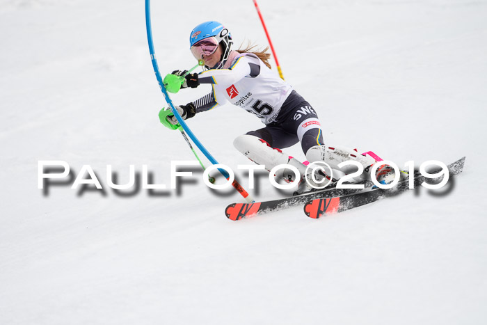 8. BZB CUP SL, 06.03.2019, Gudiberg