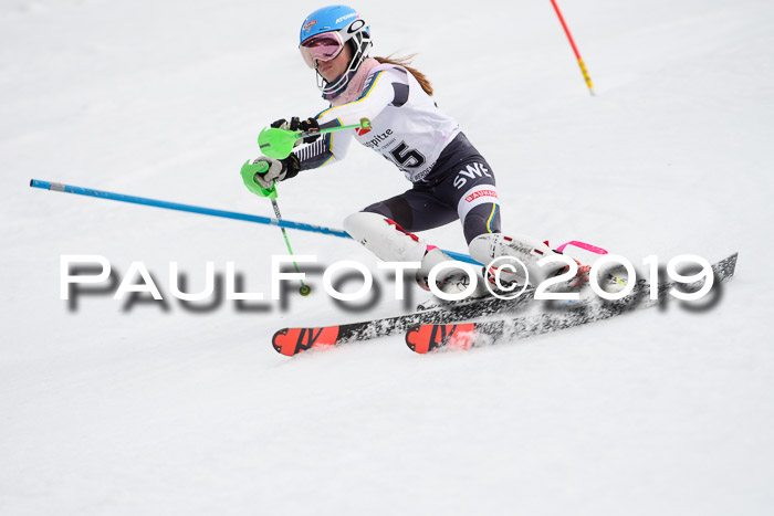 8. BZB CUP SL, 06.03.2019, Gudiberg