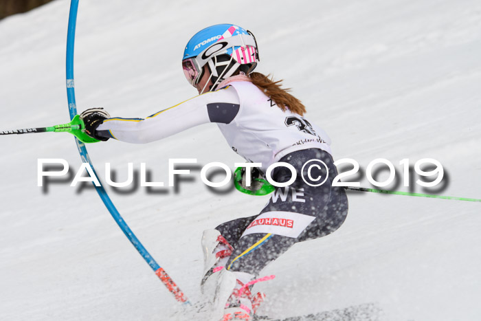 8. BZB CUP SL, 06.03.2019, Gudiberg