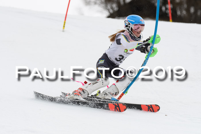 8. BZB CUP SL, 06.03.2019, Gudiberg