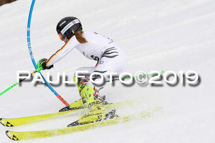 8. BZB CUP SL, 06.03.2019, Gudiberg