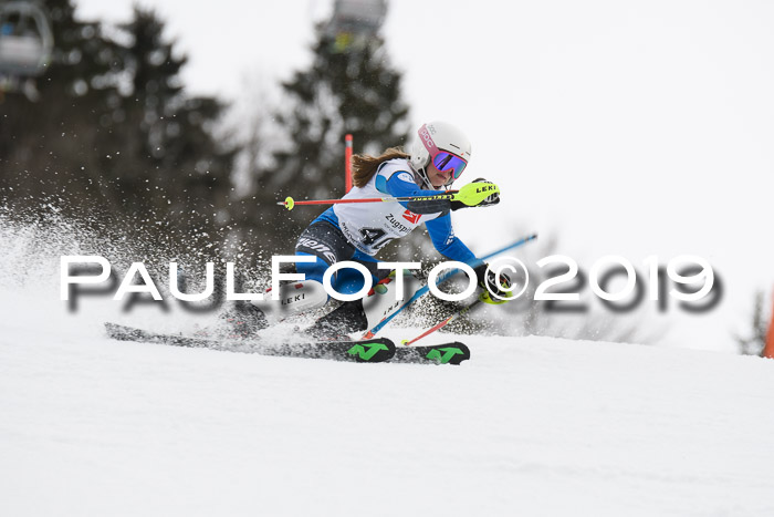 8. BZB CUP SL, 06.03.2019, Gudiberg