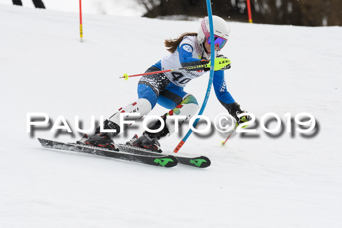 8. BZB CUP SL, 06.03.2019, Gudiberg