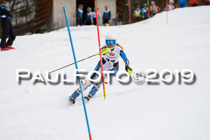 8. BZB CUP SL, 06.03.2019, Gudiberg