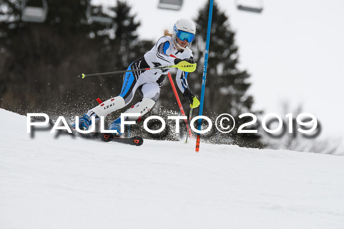 8. BZB CUP SL, 06.03.2019, Gudiberg