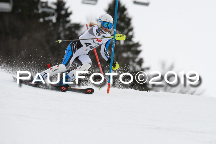 8. BZB CUP SL, 06.03.2019, Gudiberg