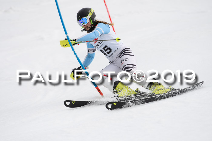 8. BZB CUP SL, 06.03.2019, Gudiberg