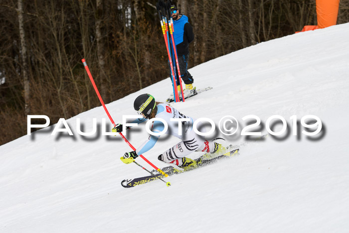 8. BZB CUP SL, 06.03.2019, Gudiberg