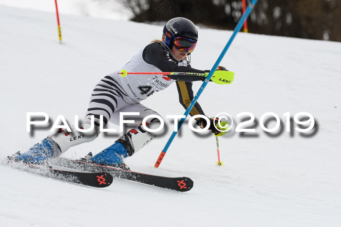 8. BZB CUP SL, 06.03.2019, Gudiberg
