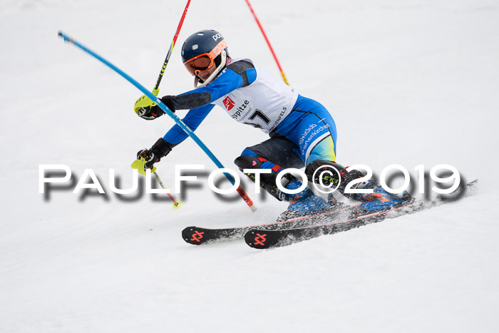 8. BZB CUP SL, 06.03.2019, Gudiberg