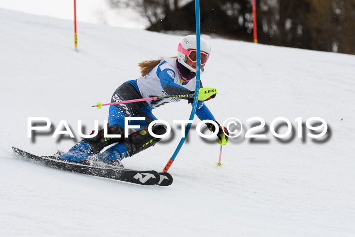 8. BZB CUP SL, 06.03.2019, Gudiberg