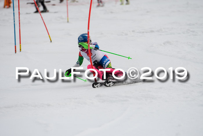 8. BZB CUP SL, 06.03.2019, Gudiberg