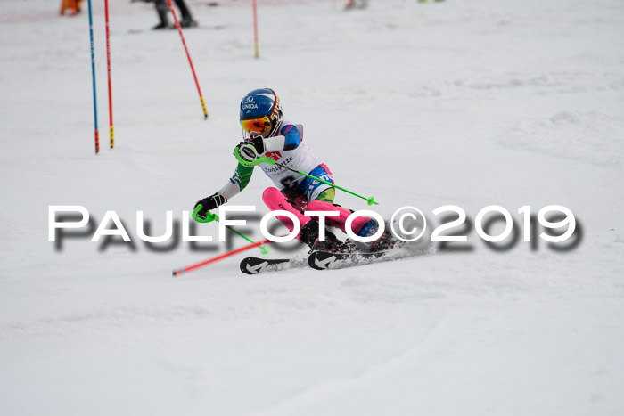 8. BZB CUP SL, 06.03.2019, Gudiberg