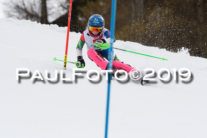 8. BZB CUP SL, 06.03.2019, Gudiberg