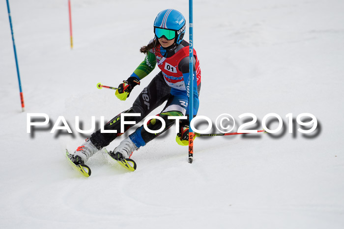 8. BZB CUP SL, 06.03.2019, Gudiberg