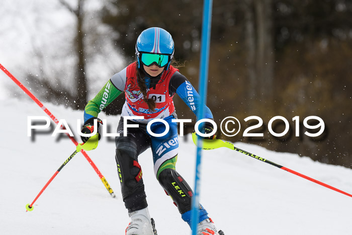 8. BZB CUP SL, 06.03.2019, Gudiberg