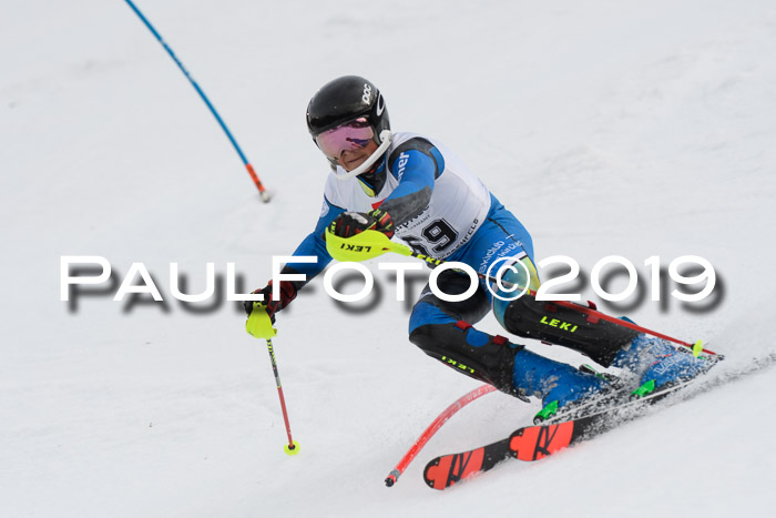 8. BZB CUP SL, 06.03.2019, Gudiberg