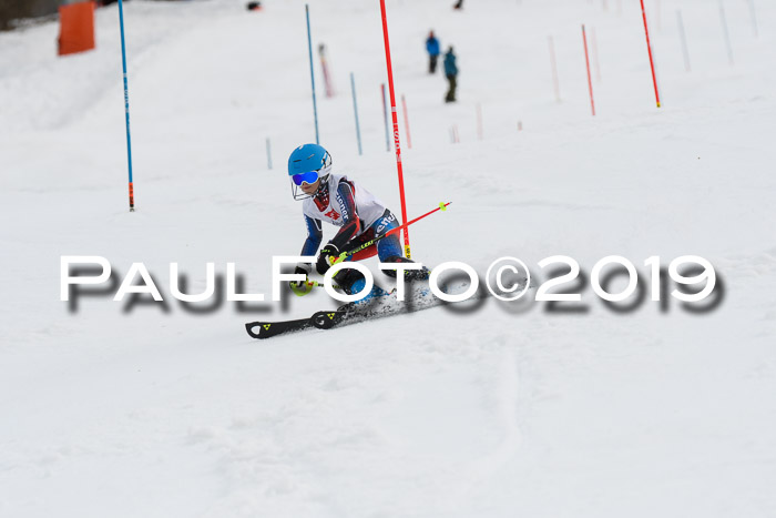 8. BZB CUP SL, 06.03.2019, Gudiberg
